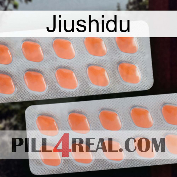 Jiushidu 27.jpg